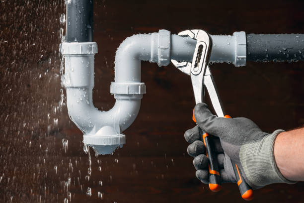 Professional Plumbing technician working in Wanamingo, MN